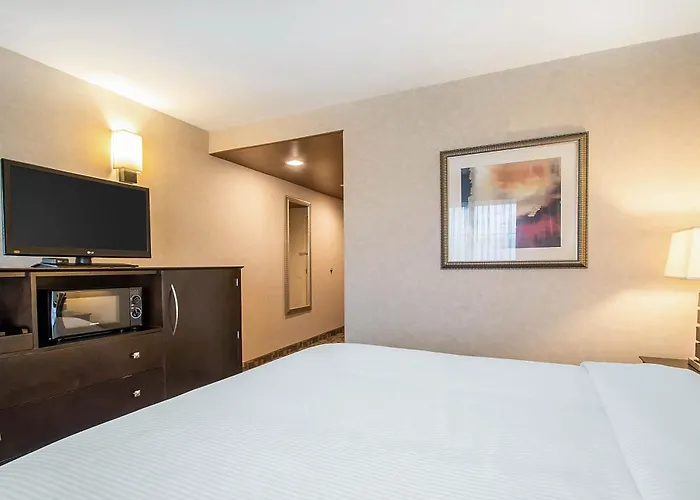 Inn Clarion - Oak Brook Near I-88 I-290 I-294 4*