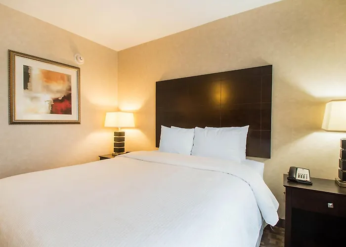 Clarion - Oak Brook Near I-88 I-290 I-294 Inn 4*