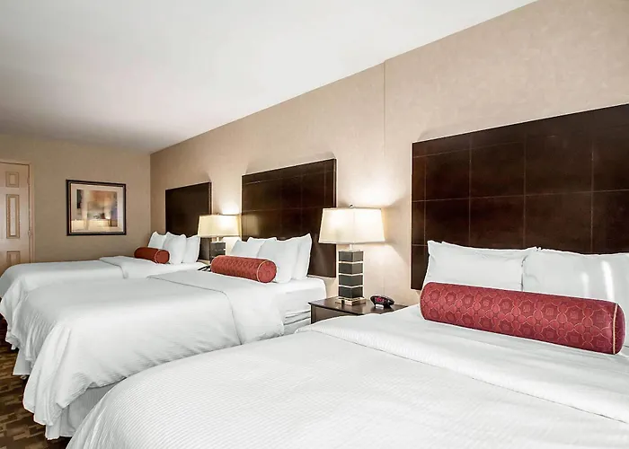 Clarion - Oak Brook Near I-88 I-290 I-294 Inn