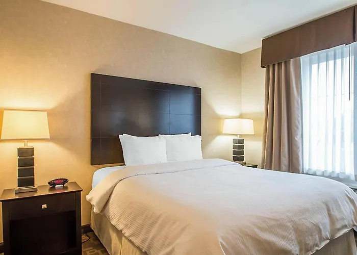 Clarion - Oak Brook Near I-88 I-290 I-294 Elmhurst