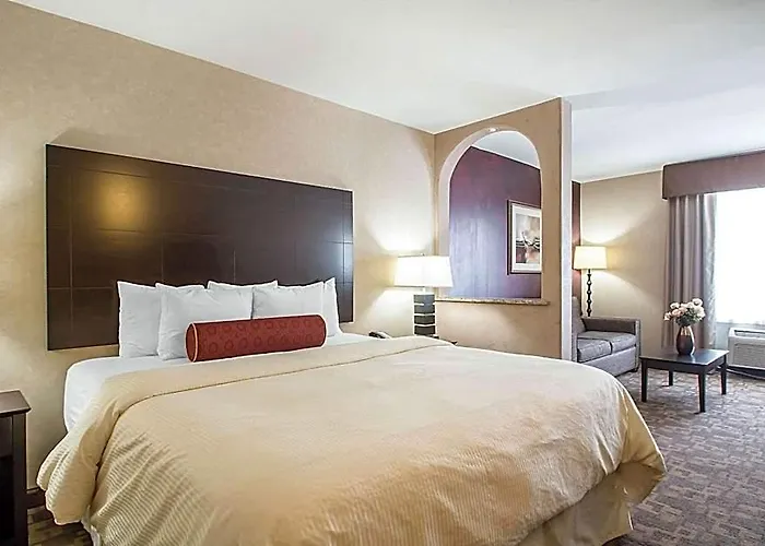 Clarion - Oak Brook Near I-88 I-290 I-294 Inn Elmhurst